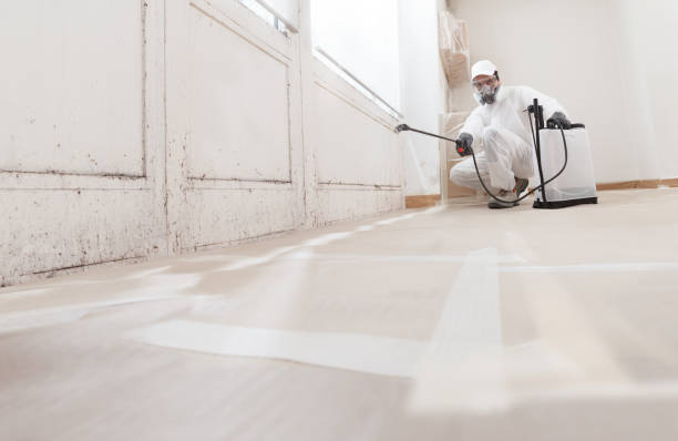 24/7 Emergency Commercial Mold Remediation experts in Richmond, MI
