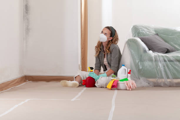 Reliable Mold Cleanup contractor in Richmond, MI by Cheap Mold Removal